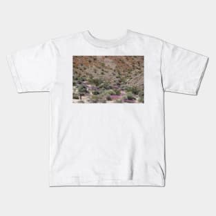 Desert Scene 23 Kids T-Shirt